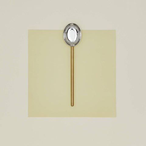 Simple Serving Spoon
