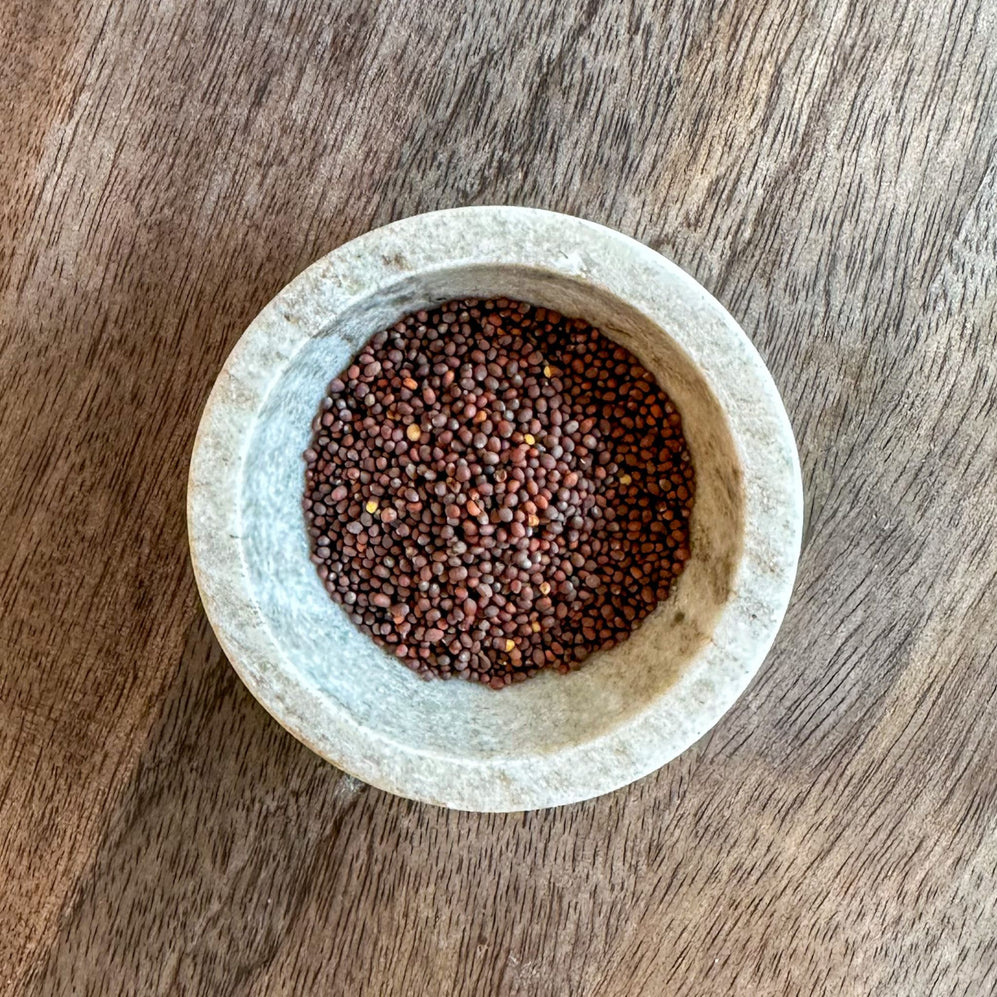 Brown Mustard Seed Olive Branch Oil & Spice