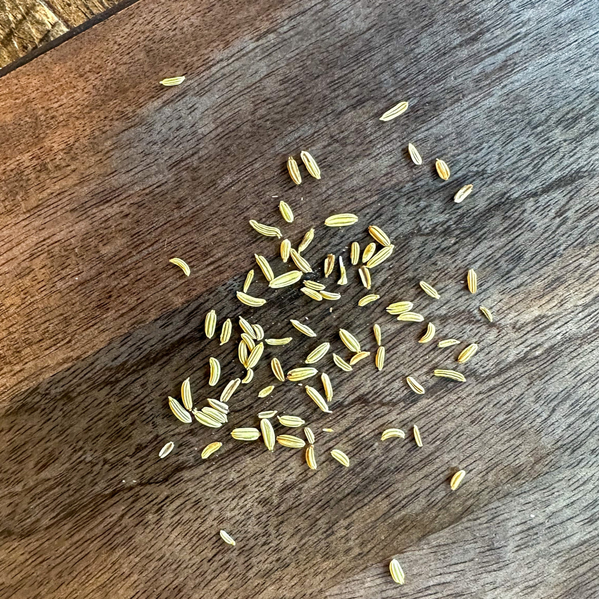 Fennel Seed Olive Branch Oil & Spice